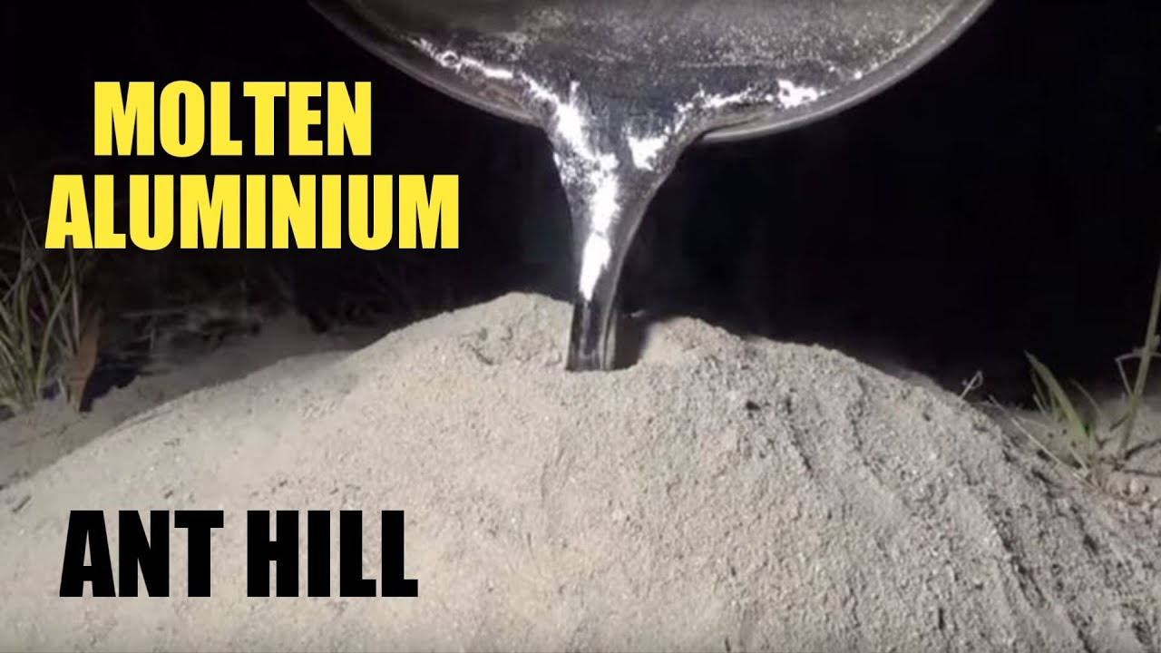 Man Pours Molten Aluminum Metal In Ant’s Nest Making Magical Ant Hill ...