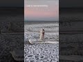 Pancake ice forms on Lake Michigan