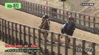 Hip31　ビジューミニョンの２０ 父：マインドユアビスケッツ