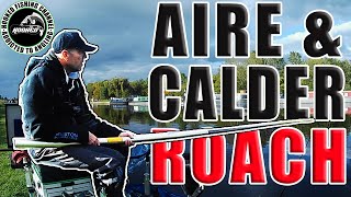 Pole Fishing for Roach on the Aire & Calder Canal