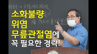 [김효열 교수의 재미있는 혈자리 공부] 소화불량, 위염, 무릎 관절염에 꼭 필요한 경락(족양명위경)