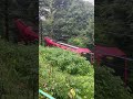 箱根あんじゅ🌸お庭🌲からの箱根登山鉄道🚃