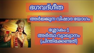 ഭഗവത് ഗീത അർജുന വിഷാദ യോഗം ഒന്നാം ശ്ലോകം അർത്ഥ വ്യാഖ്യാനം, ചിന്തിക്കേണ്ടത്.....