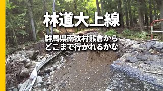 林道大上線 大上峠 はどこまで通れるか 2020.6