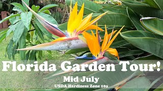 Florida Garden Tour Mid July | USDA Hardiness Zone 10a