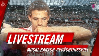 Livestream: Mucki-Banach-Gedächtnisspiel: 1. FC Köln – VV St. Truiden | 1. FC Köln
