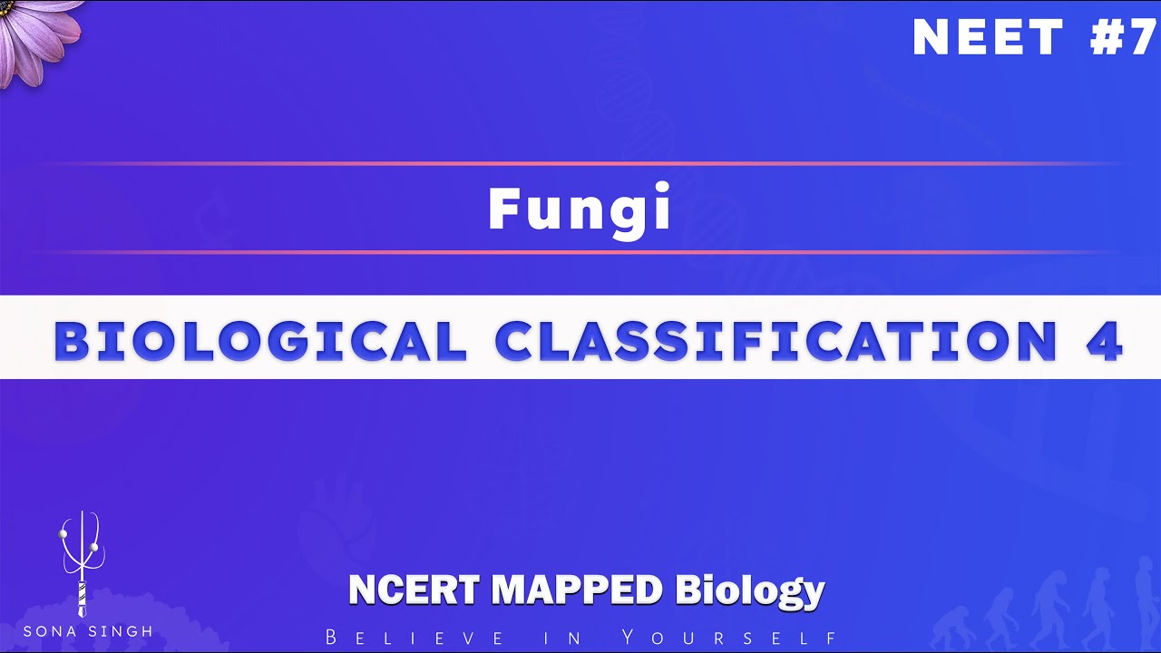 Biological Classification 4 | Fungi | NCERT Mapped Biology NEET 7 ...