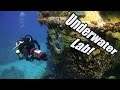 Aquarius Reef Base | JONATHAN BIRD'S BLUE WORLD