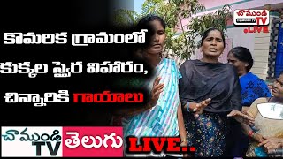 LIVE🔴ఇందుకూరుపేట మండలం కొమరిక గ్రామంలో కుక్కల స్వైర విహారం, చిన్నారికి గాయాలు | NELLORE | CHAMUNDITV