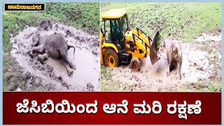 ಬಂಡೀಪುರದಲ್ಲಿ ಕೆಸರಿನಲ್ಲಿ ಸಿಲುಕಿದ್ದ ಆನೆ | Elephant Stuck In Mud Puddle Rescued | Vijay Karnataka