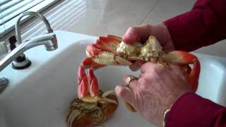 How to clean a crab