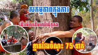 សកម្មភាពក្នុងការទៅដើរមើលដើមឈើធ្វើទូកខ្នាតវែងចំណុះ 75 នាក់