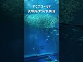 アクアワールド茨城県大洗水族館6 アクアワールド茨城県大洗水族館