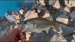 PESCANDO de ORILLA  presa en JALISCO🎣