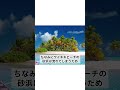 暇つぶし雑学 雑学 暇つぶしに最適 暇つぶし 暇つぶし動画 音声　voicevox 青山龍星