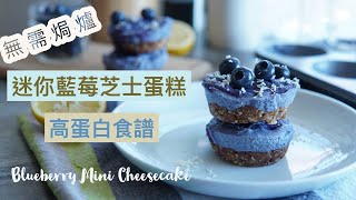 Blueberry Mini Vegan Cheesecakes [ASMR]