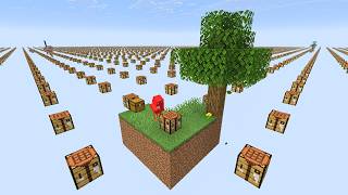Skyblock, But Every Block I Place Copies Everywhere