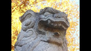 NO.287 長野・愛知・静岡・岐阜　狛犬・神社探訪「熊野神社（須坂市）」