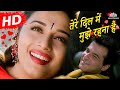 Tere Dil Mein Mujhe (HD) | Mohabbat (1997) | Sanjay Kapoor | Madhuri Dixit | Hindi Romantic Song