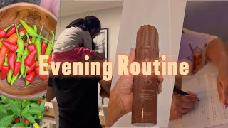 VLOG 7: EVENING ROUTINE | MALAYALAM VLOG | DINNER PREP, VEGGIE GARDEN \u0026 MORE