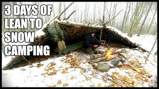 3 DAYS Of LEAN TO SNOW CAMPING: Freezing Temperatures, Small Projects, Outdoor Cooking