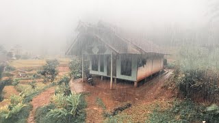 Hujan Kabut Lagi.. Bikin Ketagihan Datang Ke Kampung Ini, Ketika Musim Hujan di Pedesaan Jawa Barat