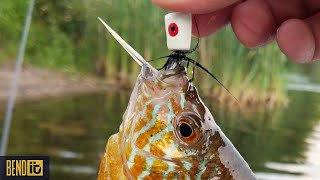 Micro Popper Fishing Ultra Light Tackle