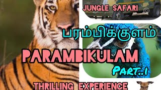 Pollachi to parambikulam tiger reserve forest jungle safari .tented house peacock part 1 thrill expe