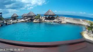 Dolphinaris in Cozumel Mexico family vacation swimming with dolphins