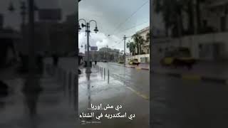 بتحب اسكندريه تابعني فايتك كتير