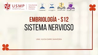 Embriología y Genética - Sesión 12 - Sistema nervioso - Alicia Darg - 2025-0