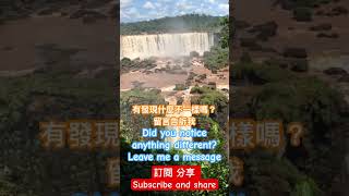 世界三大瀑布之一 伊瓜蘇瀑布 Cataratas do Iguaçu #旅遊#Cataratas do Iguaçu #美景