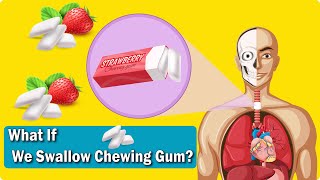 What If You Always Swallow Your Chewing Gum?
