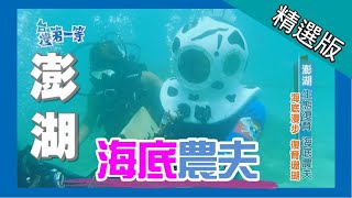 台灣第一等【珊瑚復育 海底農夫】澎湖_精選版