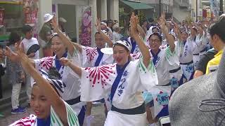 高円寺　中通り2018　流し①　東京新のんき連