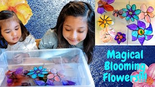 Magical Blooming Flowers |Easy DIY Science Experiment for Kids!!!