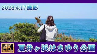 「夏井ヶ浜はまゆう公園」４Ｋ　\