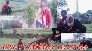 ❤ከሃላሌ🌹 ጋር ለመጀመሪያ ጊዜ ከጦጣዎች ልዩ ቆይታ🌷 #ሸምሰዲን tube #Ami Habeshawit #Fasika tube #yetenbi tube