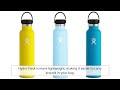 hydro flask vs stanley which best