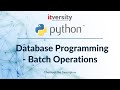 Mastering Python - Database Programming - Batch Operations - 04 Recap of Insert