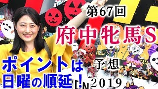 【競馬】府中牝馬ステークス 2019 予想（こっちも本命1着なのに…） ヨーコヨソー