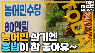 충남 농어민수당 '80만 원'..전국 최고/대전MBC