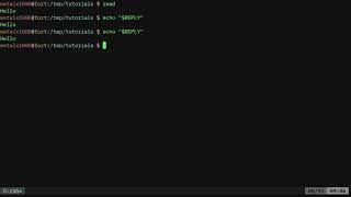 BASH Reply to Read Linux Shell Tutorial