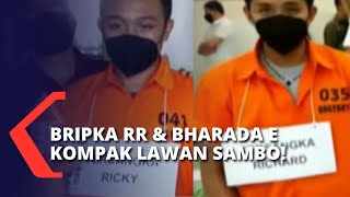 Kasus Pembunuhan Brigadir Yosua Semakin Jelas, Kini Bripka RR \u0026 Bharada E Kompak Lawan Sambo!