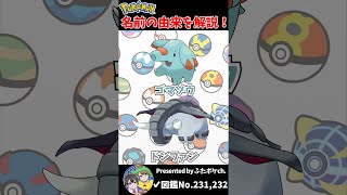 ポケモン名の由来『ゴマゾウ・ドンファン』 #Shorts