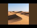 Desert of Echoes
