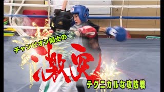 boxing JCLチャンピオン1年後のリマッチスパーリング黒、大勇海