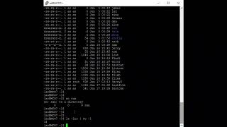 Linux 51 (Word Count Text Processing Commands In Linux)