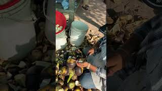 អ្នកជំនាញកាប់ត្នោត #vlog #palm fruit