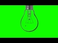 Fly and a Light Balb - Animated Green Screen